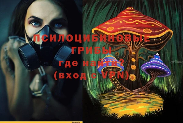 амф Белокуриха
