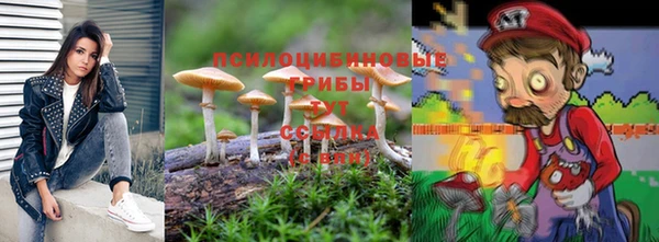 амф Белокуриха