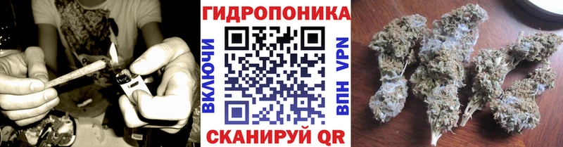 Канабис OG Kush  магазин    Верещагино 